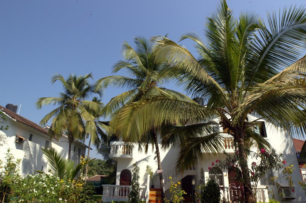 Colonia Santa Maria Hotel Baga Luaran gambar
